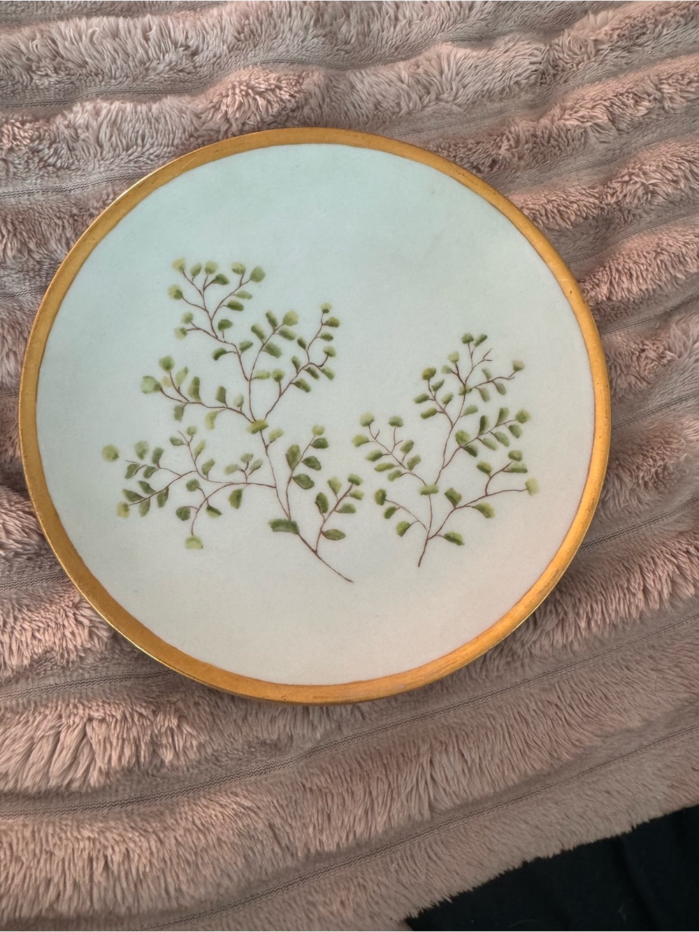 Vintage Thomas Bavaria Hand Painted Fern Salad Plate Gold Trim Antique Porcelain